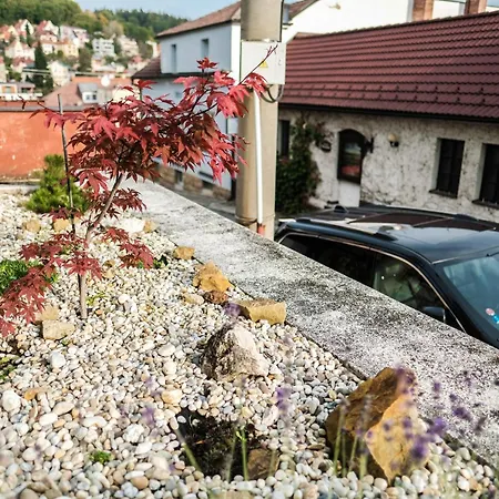 Alice Apartmán Luhačovice